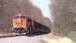 BNSF coal train